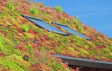 Scalebyhill living roof systems